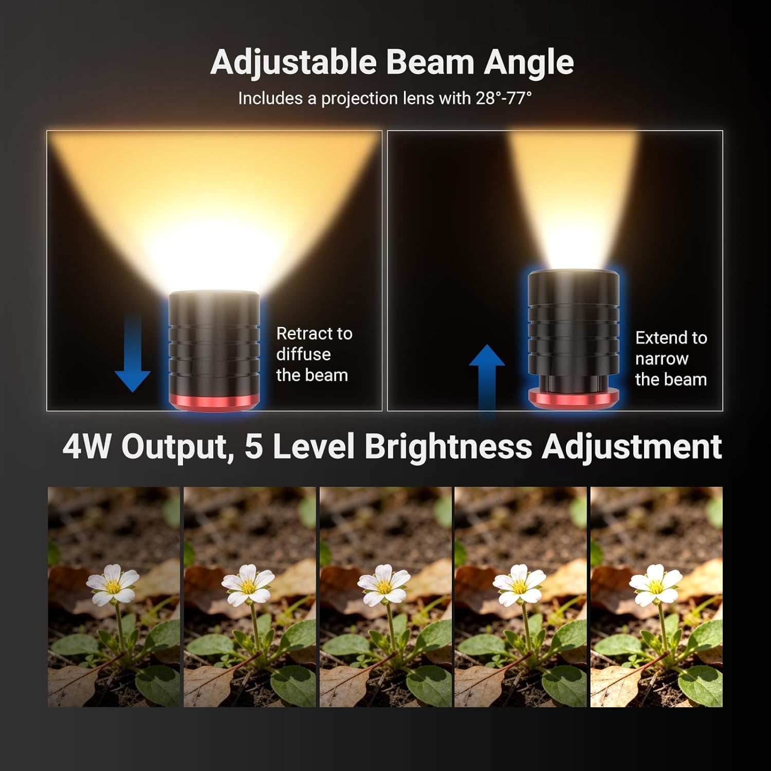 NEEWER Basics ML01 USB C LED L - Photography Lighting Basics ulasan dan harga